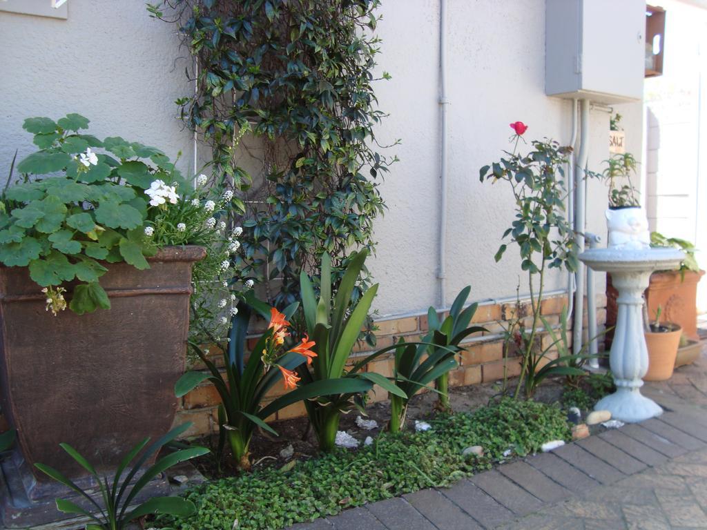 Brookdale House Hotel Cape Town Exterior photo
